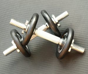 dumbbell-pair-299535_1920