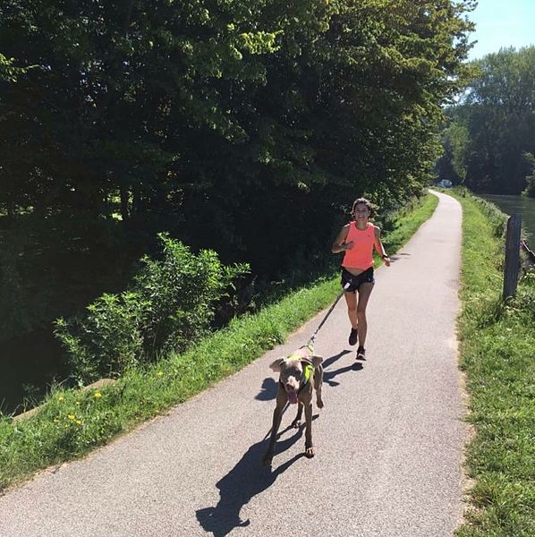 3 sports à pratiquer avec son chien