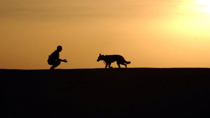 maitre-chien