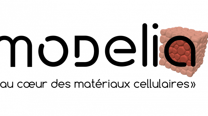 modelia