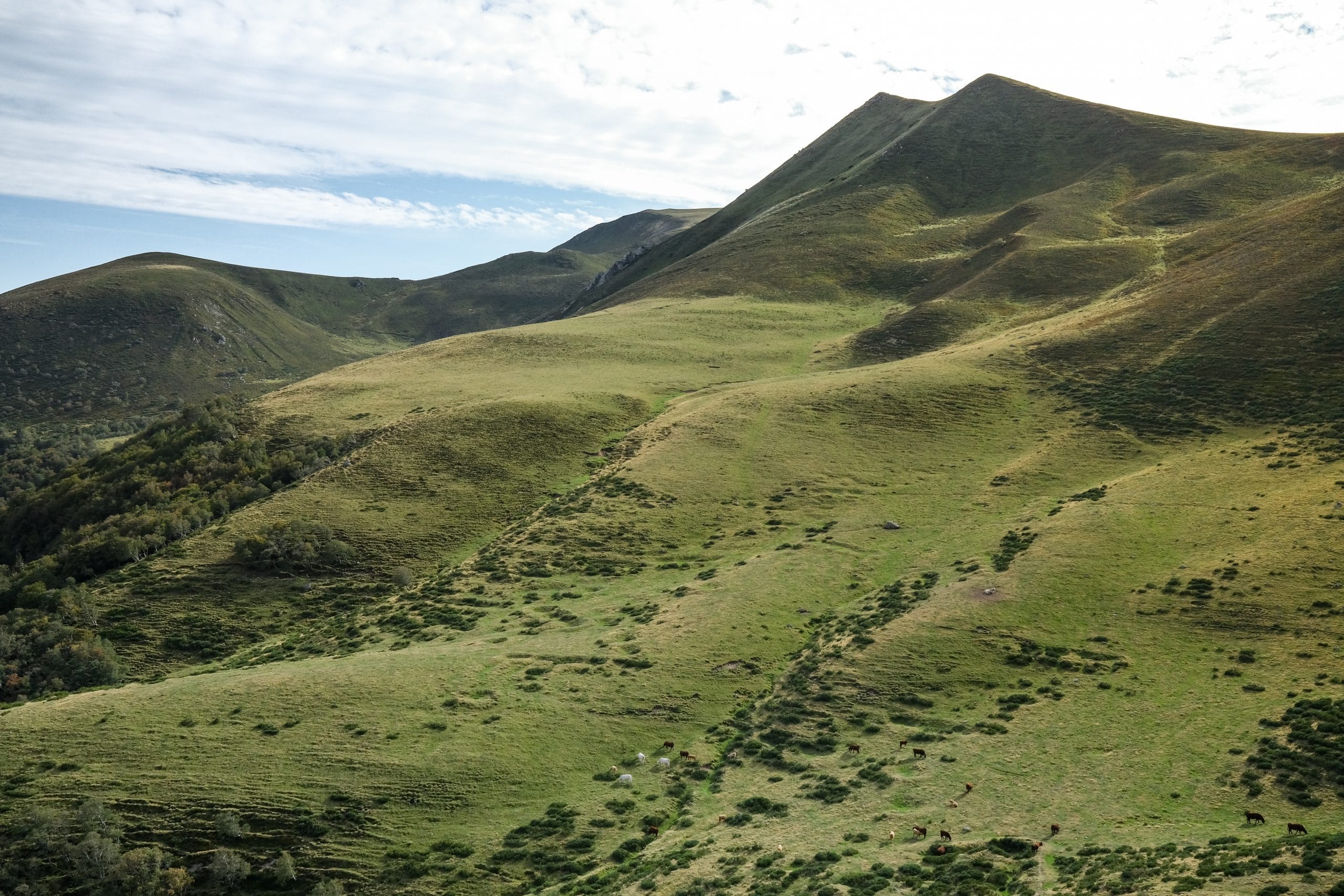 Auvergne